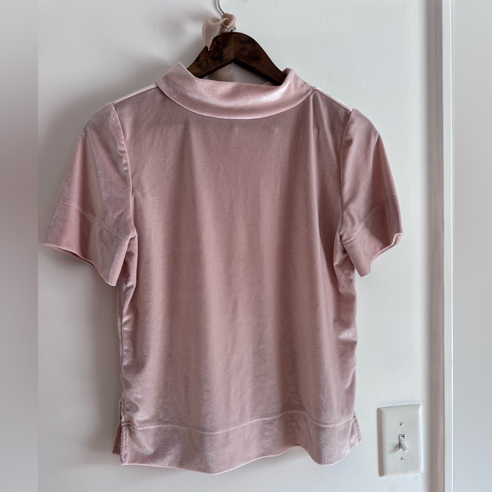 Elegant Anthropologie Pink Velvet Women's Top